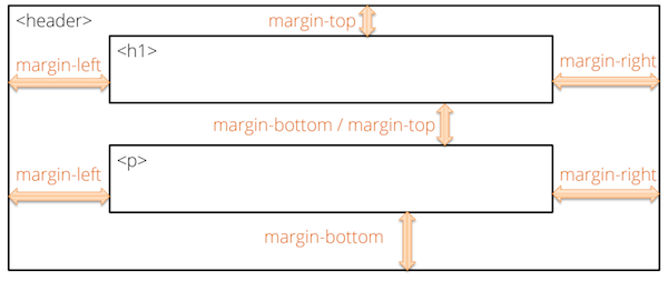 An element’s margins.