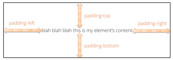 An element’s padding.