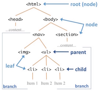 domtree